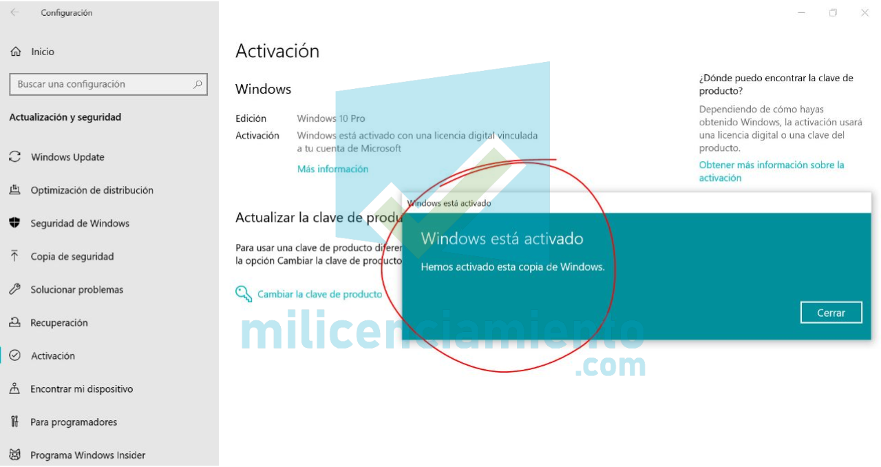 Windows 10 Professional FÍsico Office Professional Plus 2019 FÍsico 0222